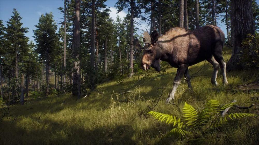 way-of-the-hunter-wild-expeditions-820841-4