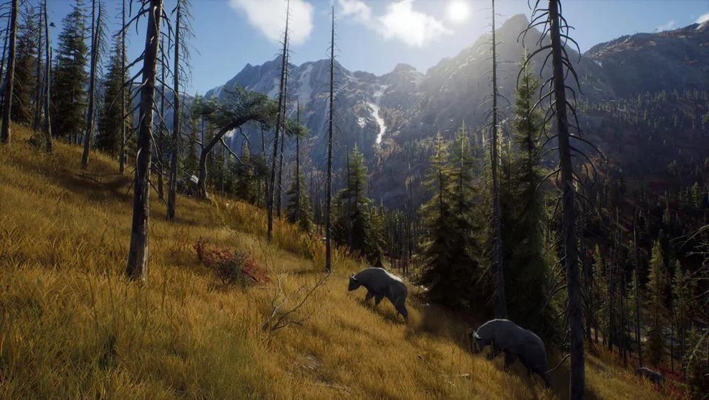 way-of-the-hunter-wild-expeditions-820841-5