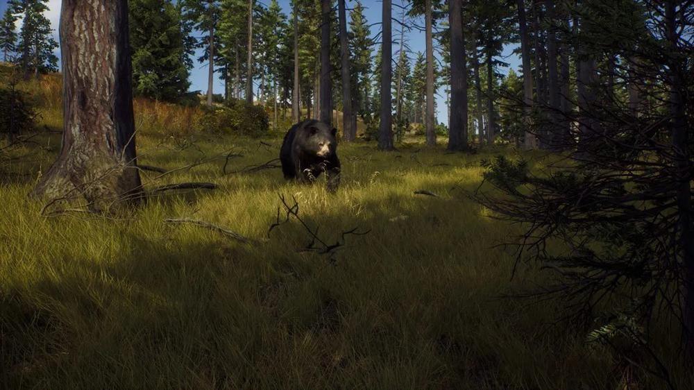 way-of-the-hunter-wild-expeditions-820841-6