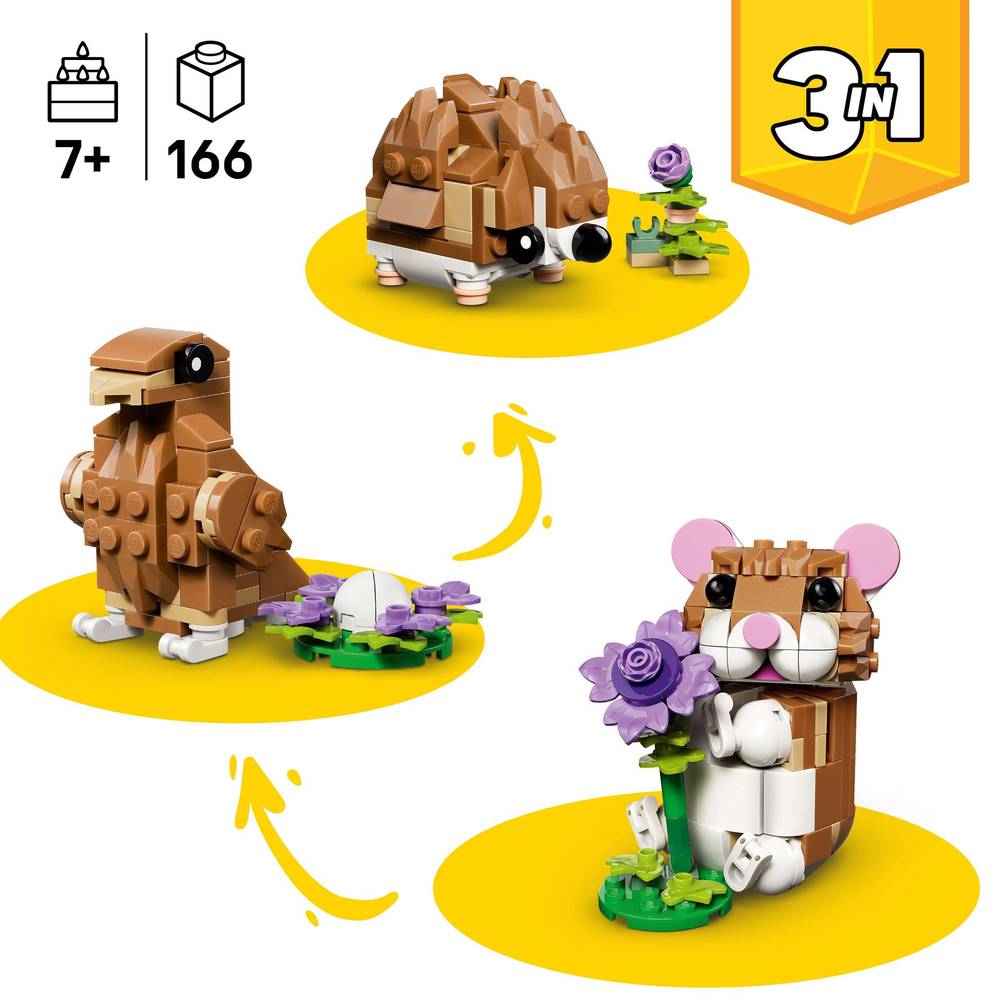 31376-3in1build-age-pieces