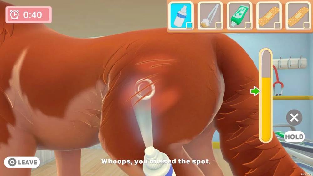 my-universe-pet-clinic-cats-dogs-643917-15