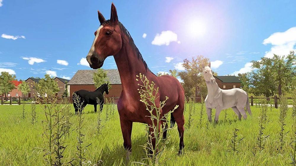 my-little-riding-champion-576089-6