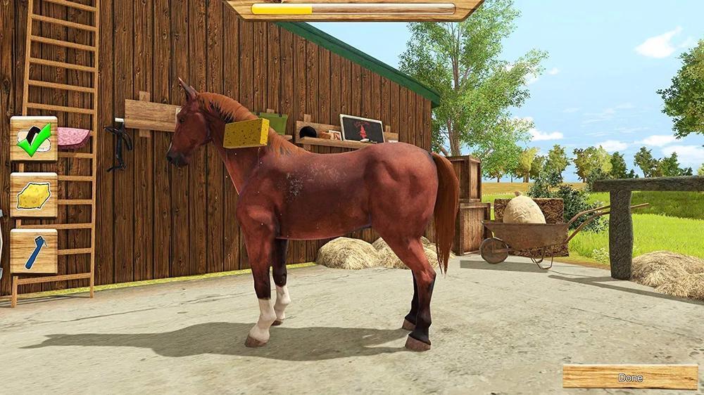 my-little-riding-champion-576089-4